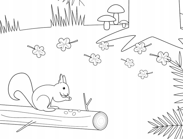 KOLOROWANKA PODŁOGOWA JESIENNY LAS FORMAT A1 PAPIER 120G